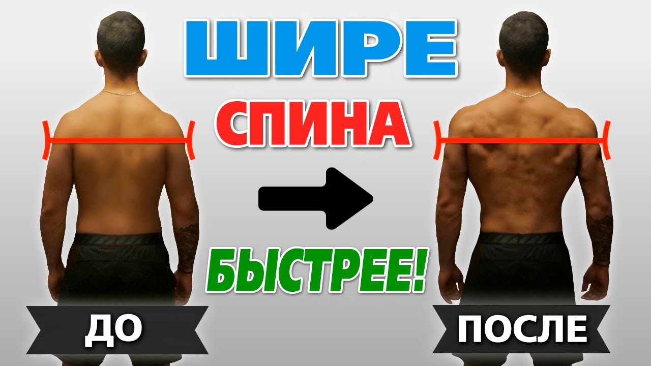 Здоровая спина. Спина спортсмена. Как стать спина. Как быстро растёт спина. Упражнения для прокачки мышц спины.