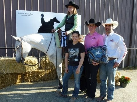 DS Sweet Sliver Dream