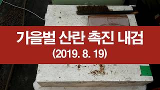 가을벌 산란을 촉진하는 내검, 화분떡 보충, 자극사양, 소비축소 등
