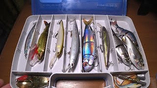Коробка рыболовная пластмассовая salmo 17 double sided
