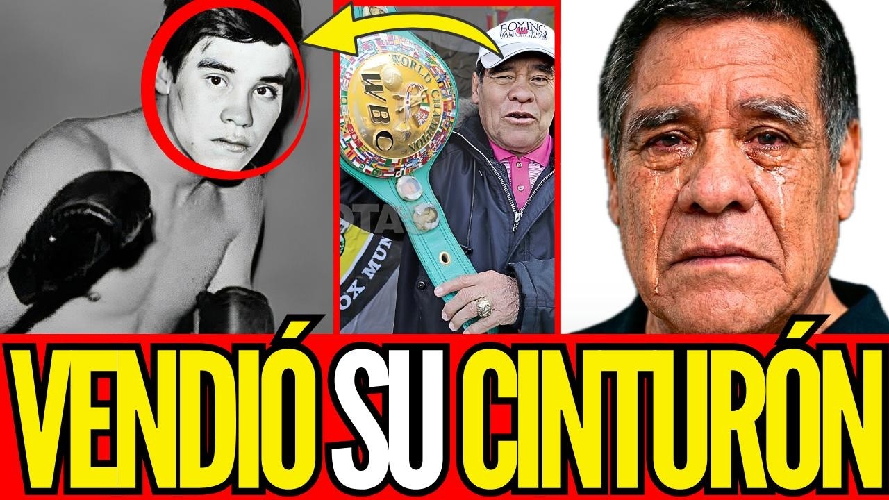 YouTube Thumbnail Downloader FULL HQ IMAGE