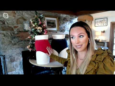 Breezies Signature Cotton Brief or Hi Cut Panty Set of 4 on QVC