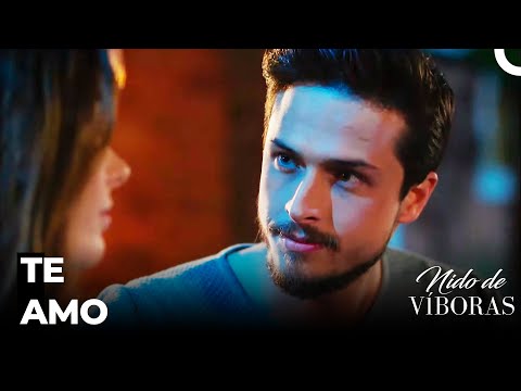 Sentimientos Intensos De Ejder - Nido De Víboras