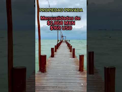 TERRENO EN PLAYA PROGRESO YUCATAN #meridayucatan #terrenos #inversiones