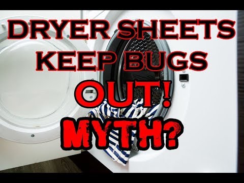 download lagu mp3 mp4 Do Dryer Sheets Repel Spiders, download lagu Do Dryer Sheets Repel Spiders gratis, unduh video klip Do Dryer Sheets Repel Spiders