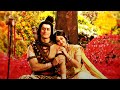 Mahashivratri Status Video Shivratri Status Shiv Parvati Status Ntkedit