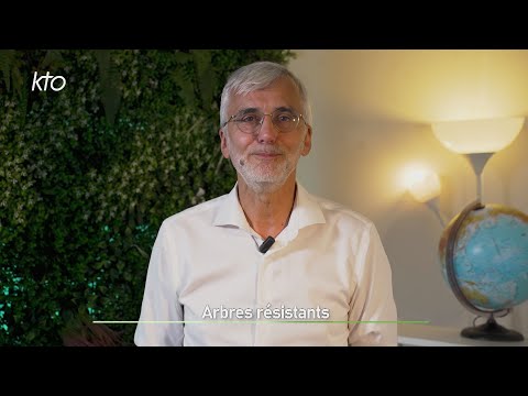 Arbres résistants