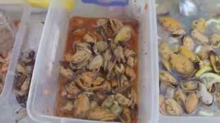 Ссылка