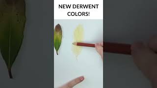 Simple COLORED PENCIL Leaf Tutorial! @derwent
