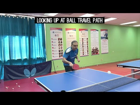 Butterfly Training Tips with Shashin Shodhan - The Backhand Push