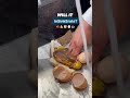 Testing the InSinkErator | Will it InSinkErate an entire plate of food waste?