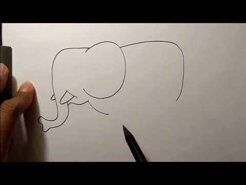 Cara menggambar gajah yang sangat mudah untuk pemula