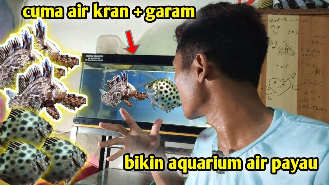 cara membuat air payau untuk masukin ikan hasil berburu di pinggir laut