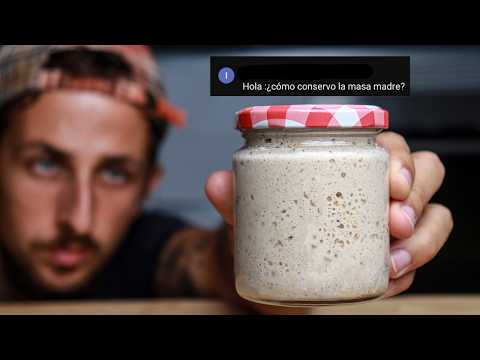 Cómo conservar la masa madre? GUÍA DEFINITIVA de MASA MADRE