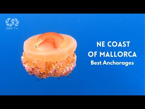 Die besten Ankerplätze an der NE-Küste von Mallorca | Sea TV Segelkanal