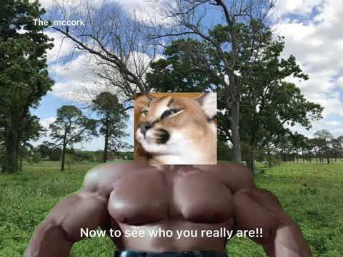 Big Floppa encounters a new enemy 😳😳😳