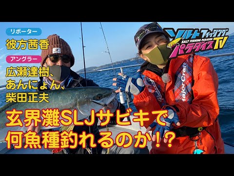 玄界灘SLJサビキで何魚種釣れるのか（ソルパラTV・第62回2021年12月2日放送）