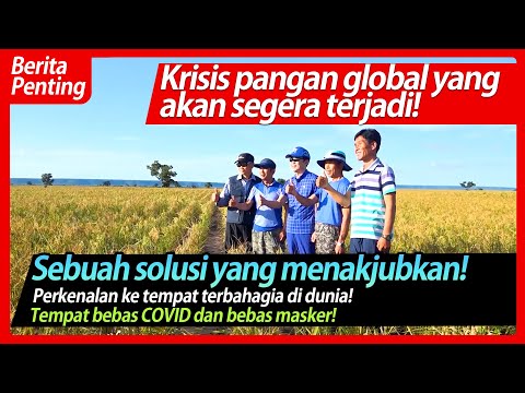 [Indonesia 인도네시아어] Pertanian Oasis Doalnara / Perkenalan ke tempat terbahagia di dunia!