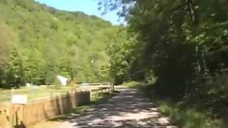 Driving Down Big Ugly Creek