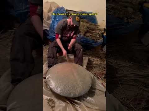 Hash production in Ketama #ketama #hasj #hashish #chefchaouen #morocco #documentary  #chefchaouen