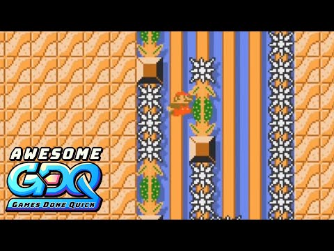 Super Mario Maker 2 by TASBot in 10:00 - AGDQ2020