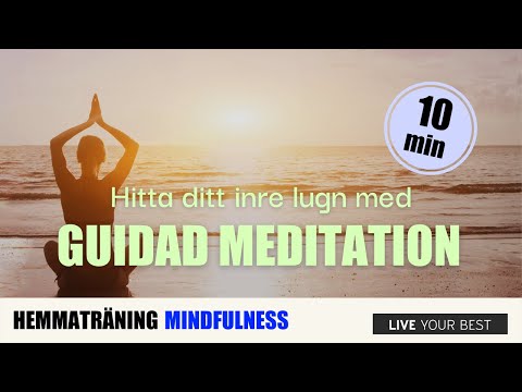 10 minuter guidad mindfulness meditation (svenska)