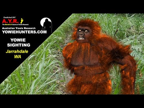 Yowie / Bigfoot Sightings (Audio Report #181) at Jarrahdale, Western Australia
