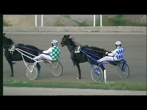 Napoli Trotto 06/11/2022 - 8ª corsa