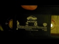 Teletubbies Baby Animals 2001 VHS 2