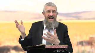 מסכת חולין דף יח - 8 דקות של לומדות ועמקות בדרך הלימוד הישיבתית [Hullin 18]