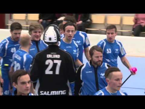 Blue Fox - LNM su 17.1.2016 - Maalikooste