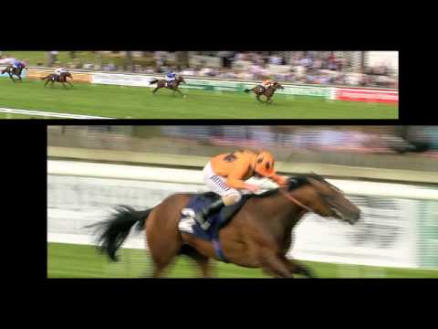 July Festival 12-14th July 2012