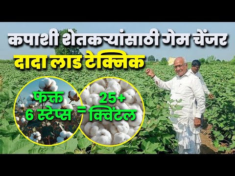  दादा लाड तंत्रज्ञानाने 25 क्विंटल कापूस उत्पादन शक्य आहे का?