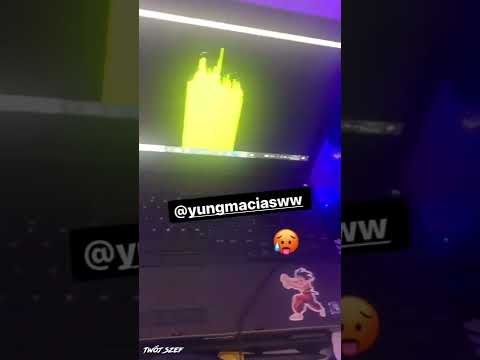 Snippet macias x szamz
