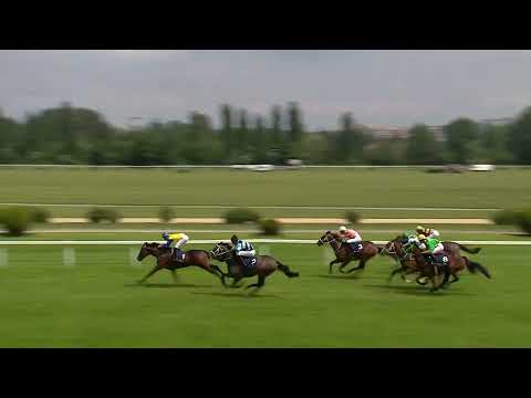 Dostihy Chuchle Arena Praha 4. 6. 2022 - 1. dostih - Cena prvních nadějí
