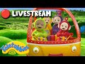 Teletubbies Livestream 24 7 LIVE Stream Shows For Kids
