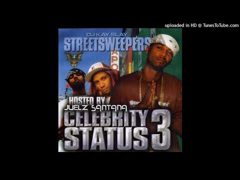 Cam'ron feat. Nicole Wray  Do Your Thing