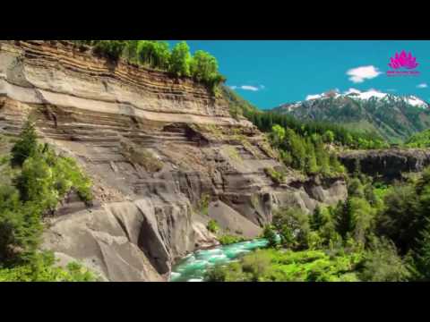 Đêm thành đạo - Thích Chân Quang