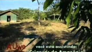 Criancas Indias da Amazonia