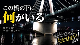 釣りに行くそれだけで健康になれたら最高じゃないですか？