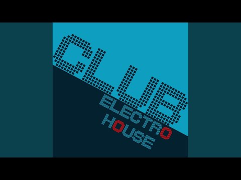 I Love U (Sound Dizturber's Electro Remix)