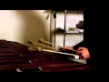 Peter Joseph Playing Zeitgeist Addendum Theme On Marimba