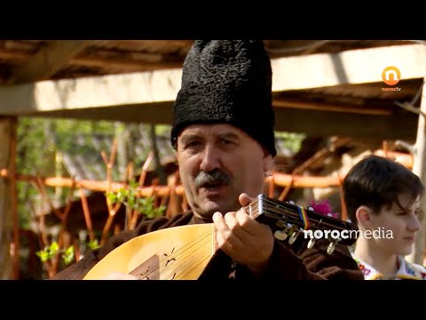 Ansamblul Stefan Voda - Foaie verde murele