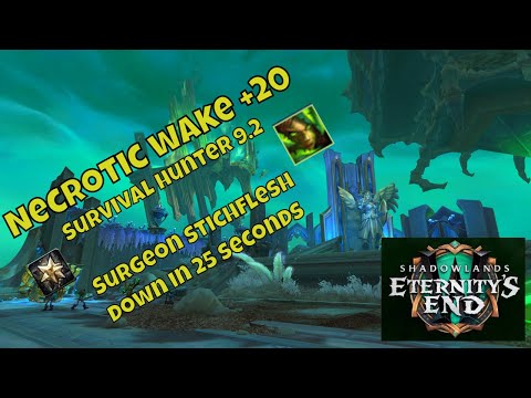Kyrian Survival Hunter POV 9.2, Necrotic Wake +20
