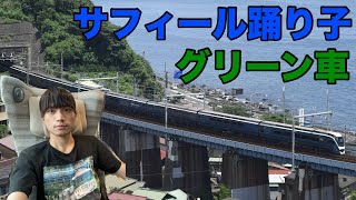 特急サフィール踊り子グリーン車に熱海から乗ったがかなり凄かった
