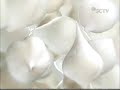 Citra Lasting White Soap Commercial 2010 Indonesian