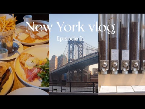 🚖 New York vlog | Michelin star Yakitori Torishin, Katz's, Scarr's pizza, RH Guesthouse, Garage sale