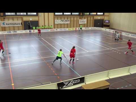 DGF Team Aarau vs. UHC Zuger Highlands (06. November 2016)