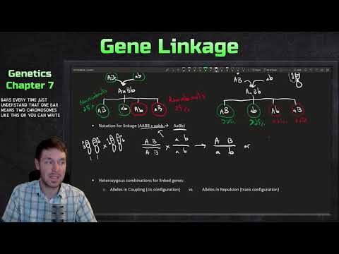 Introduction to Gene Linkage, Recombination, and Genetic Mapping | Genetics Ep. 23