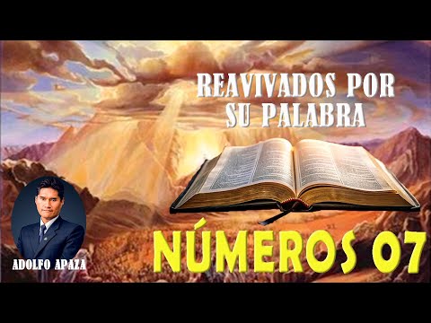 Numbers 7 Revived by His Word